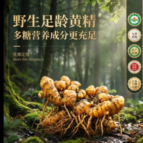 AIGC创作精选展示